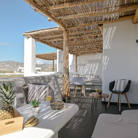 White Cocoon Exclusive Vila Agia Anna (Naxos)