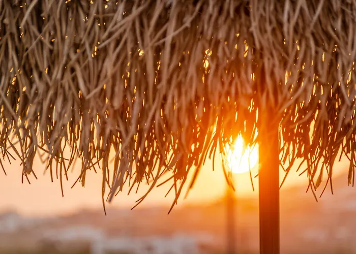 White Cocoon Exclusive