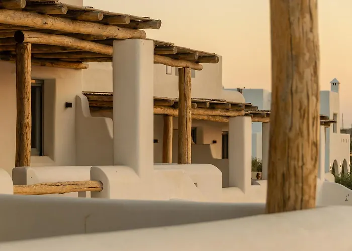 White Cocoon Exclusive *